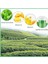 Beyazlatıcı Etkili Yeşil Çay Özlü Siyah Nokta Maskesi - Green Mask %100 Natural Tea Melao 3