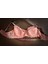 Pembe Dantelli Büyük Beden Sütyen (Big Size) 1