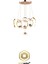 BADE LEDLİ GOLD MODERN AVİZE 5
