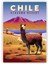 Chile Atacama Desert Şili Atacama Çölü Ahşap Poster 20X29 cm 1