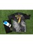 R.e.a.l Madrid 2023/24 Dragon (Ejderha) Desenli Cristiano Ronaldo Çocuk Forması 3'lü Set (Black) 1