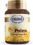 Polen 1