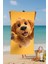 Sevimli Köpek Baskılı Pamuk Plaj Havlusu – Desenli Tasarım – 75X150 cm 1