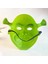 Yeşil Shrek Maskesi 21X25 cm (5047) 4
