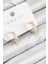 Pirinç Zirkon Taşlı Yıldız Model Gold Renk Kadın Küpe 1