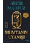 Mumyanın Uyanışı 1