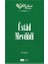 Nebevi Varisler 94 Üstad Mevdudi 1