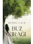 Buz Kırağı 3 1