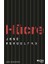 Hücre 1