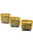 20 Pcs Gold - Folyoludikdörtgen - Kalın Muffin Kağıt Kek Kapsülü (5047) 1