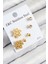 316L Çelik Zirkon Taşlı Kar Tanesi Model Gold Renk Kadın Set Küpe 1