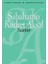 Saatler 1