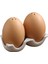 Seramik Tuz ve Biberlik Seti, Karton Tasarımlı Tutma Standlı Mini Kahverengi Yumurta Şeklinde Tuzluklar (Yurt Dışından) 1