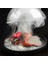 Molecular Cuisine Duman Davlumbazı Gıda Sınıfı Kapak Kubbe Kapağı Tütsüleme Aksesuarı Duman Demleyici Kek Biftek Kapağı C (Yurt Dışından) 2