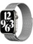 Apple Watch 11 (42MM) Uyumlu Mıknatıslı Hasır Metal Kordon-01 Gümüş -Saathariç 3