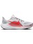 Air Zoom Pegasus 41 Kadın Koşu Ayakkabısı FD2723-109 1