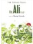 Ilim Şehrinin Kapısı Hz. Ali (R.a) 1