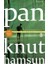 Pan 1