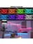 Neon LED Şerit 5metre Pembe LED Zincir Bandı Hortum Esnek Dekoratif Aydınlatma Işık 12V 10W 9