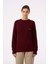Living Planet Bisiklet Yaka Triko Sweater - Bordo 1