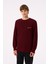 Living Planet Bisiklet Yaka Triko Sweater - Bordo 3