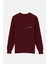 Living Planet Bisiklet Yaka Triko Sweater - Bordo 5