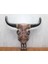 Ahşap Duvara Asmalı Bufalo Kafası 1