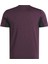 Athlete Tee 2.0 Rbk-Chıll Mor Erkek Kısa Kol T-Shirt 11