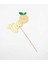Limon Two Pasta Süsü 2