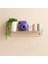 Multi Organizer Raf 3