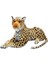 S00001399 Peluş Leopar Yatan 90 cm -Sun 2