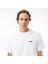 Erkek Beyaz T SHIRT.100 4