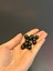 12 Adet Siyah Delikli Cam Boncuk Set 0,80 mm 2