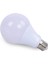 12-24 Volt LED Ampul 10 Watt Beyaz 1