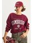 Kadın Bisiklet Yaka Baskılı Üç Iplik Şardonlu Basic Sweatshirt 3