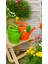 Çiçek Bitki Bahçe Sulama Kabı Sulama Bidonu 5lt (Adet) 2