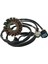Honda Trx 450R 450R 2006 2007 2008 2009 Için Motosiklet Stator Bobini 31120-HP1-601 Motosiklet Aksesuarları (Yurt Dışından) 1