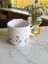 2 Li El Işi Papatya Bahçesi Işlemeli Doğal Seramik Mug Kupa Çay / Cappuccino Fincanı 6