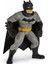 Batman Yüzme Arkadaşları - 6067008 (Lisinya) 3