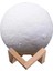 Dekoratif Yerküre 15CM Pilli Lamba ( Lisinya ) 1