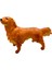 Soft Köpekler - Collie Cinsi Köpek - E013 (Lisinya) 1