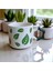 2 Li Yeşil Yapraklar Desenli Yıldız Kulplu El Doğal Yapımı Seramik Mug Kupa Çay Cappuccino Fincanı 5