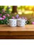 2 Li Siyah Zarif Yıldızlar Desenli Yıldız Kulplu El Yapımı Seramik Mug Kupa Çay Cappuccino Fincanı 3
