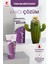 Hemorox Hemoroid ve Basur Kremi 50 ml Rahatlatıcı Etkiyle Unisex Kullanıma Uygun 5
