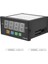 Mypin Dijital Sensör Ölçer Çok Işlevli Akıllı LED Ekran 0-75MV/4-20MA/0-10V Giriş (Yurt Dışından) 1