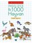 Larousse Ingilizce Ilk 1000 Hayvan 1