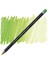 Procolour Kuru Boya Kalemi 49 Grass Green 1