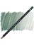 Procolour Kuru Boya Kalemi 42 Spruce Green 1