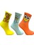 3'lü Garfield, Squidward ve Sünger Bob Desenli Kolej Set Çorap 1