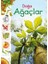 Doğa - Ağaçlar 1